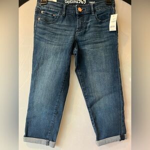 GAP Blue Straight Leg Jeans Classic Denim